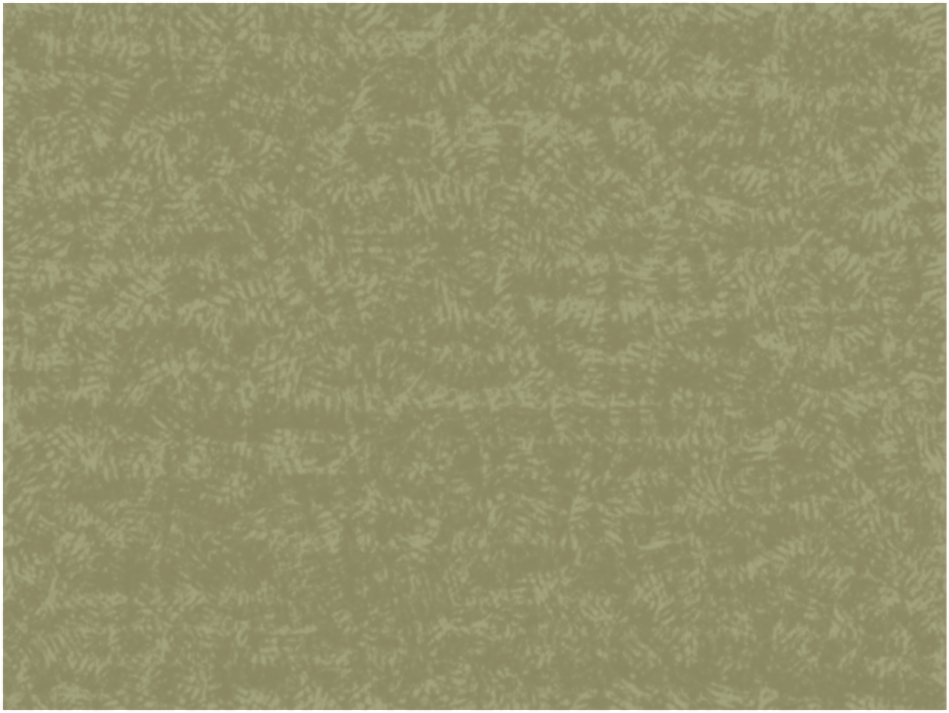 palm textured background